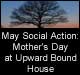 Social Action