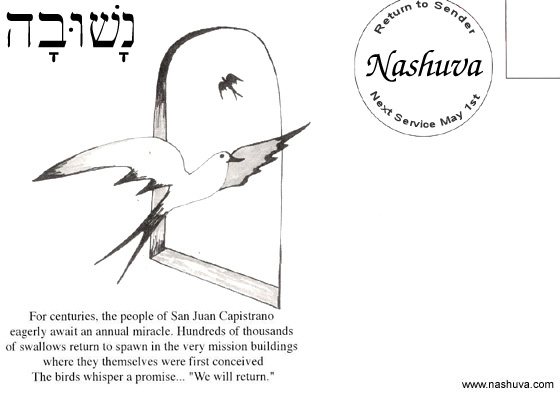 Post Card