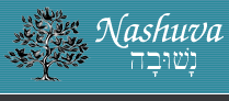 Nashuva Logo