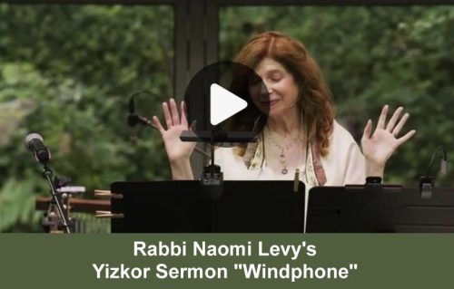 WindphoneVideo